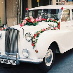 Dream Weddings International