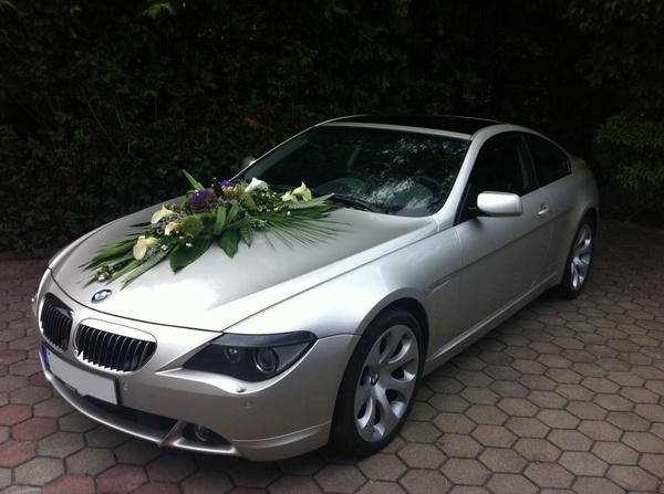 Hochzeits-Mustang.info