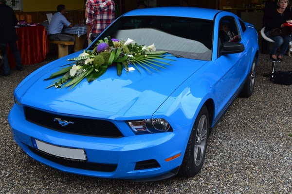 Hochzeits-Mustang.info