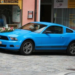 Hochzeits-Mustang.info