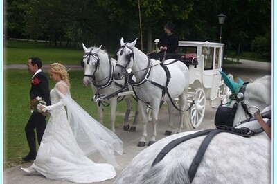 Kutscherei Hans Holzmann