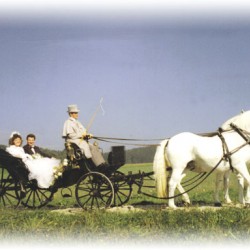 Kutscherei Markus Wimmer