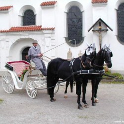 Kutscherei Markus Wimmer