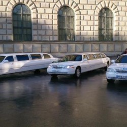 American Limousine Service