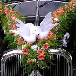 Brautauto - Hochzeitsauto - München