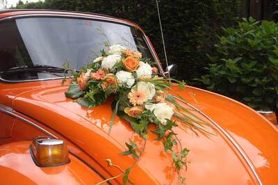 Oldtimer Paradies Hamburg