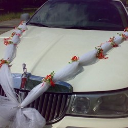 Cars & Stars Autovermietung