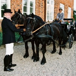 Hochzeitskutsche4you