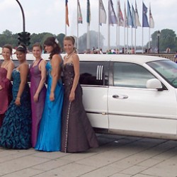 Schellenberg Medienvertretung