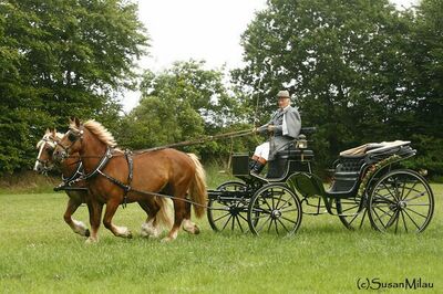 Fahrstall Hermann Drechsler