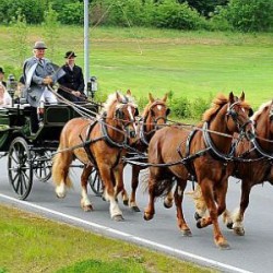 Fahrstall Hermann Drechsler