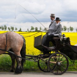 Holsteiner Kutschfahrten