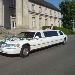 Limousinenservice Wolf