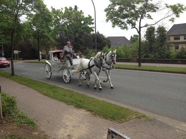 Lindhoff Kutschenfahrten