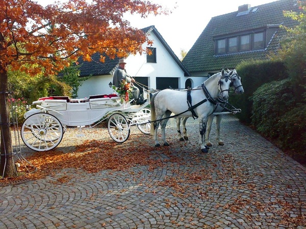 Lindhoff Kutschenfahrten