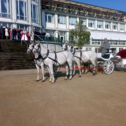 Lindhoff Kutschenfahrten