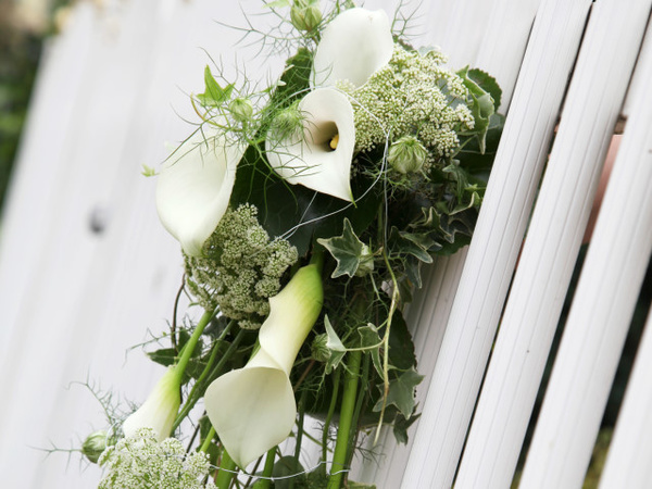 Blumenstudio Marzahn