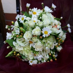 Blumenstube Babelsberg