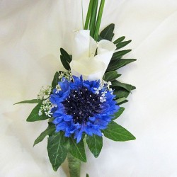 Pusteblume