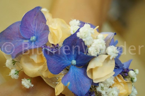 Blumen Wunder