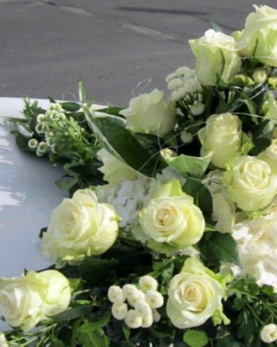 Blumen Wunder