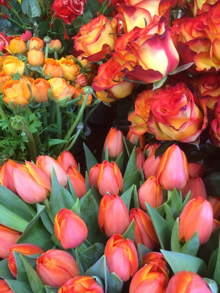 Blumen Wunder