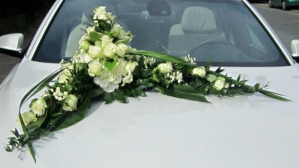 Blumen Wunder