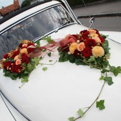 Strobel Floristik