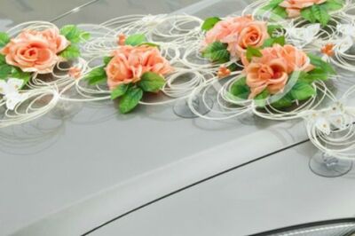 Blumen- und Gartencenter Wolf