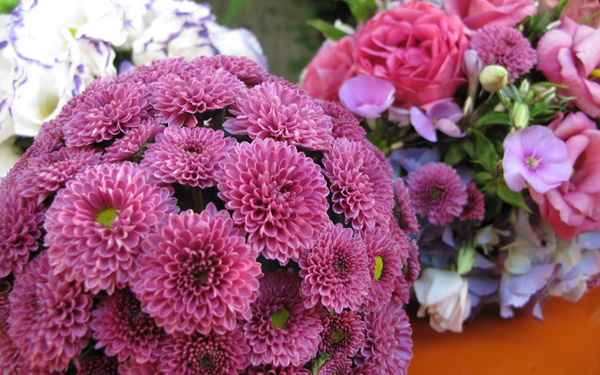 Florales und Gestaltung