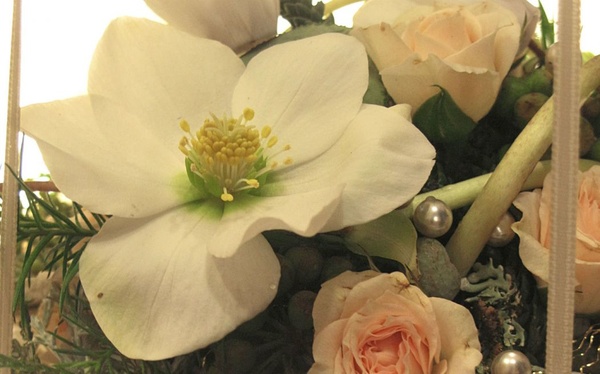 Florales und Gestaltung