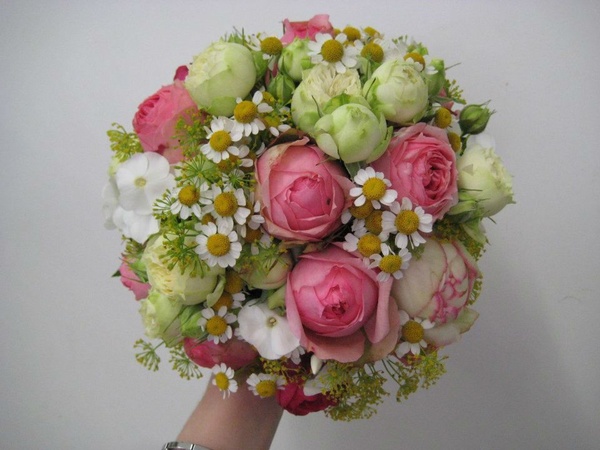 Lily Deluxe Blumen