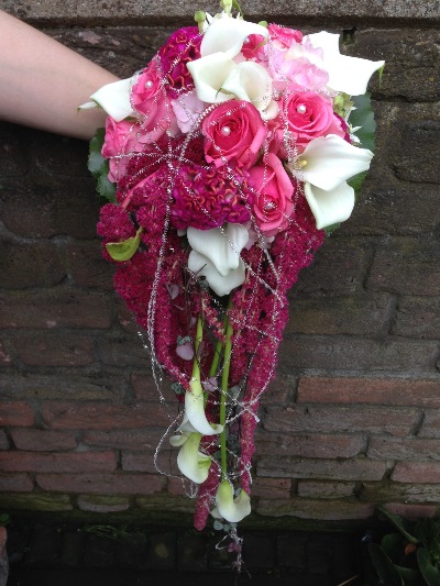 Blumen Michael Winter