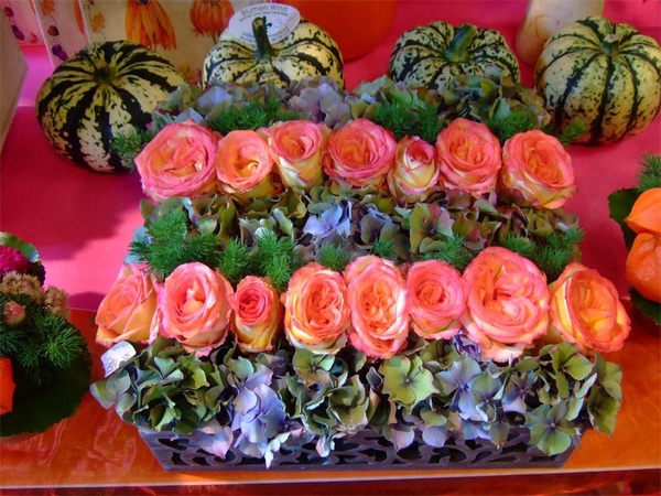 Blumen Wind