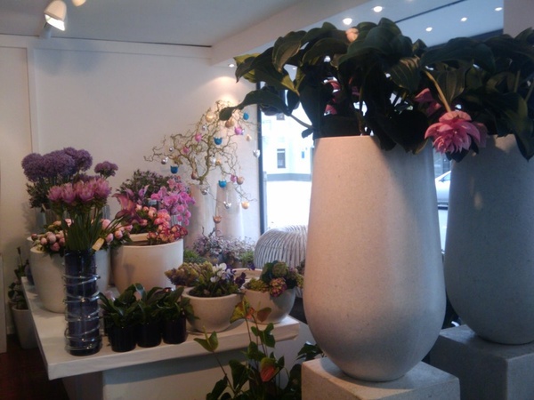 Blumen-Boutique Schmitz
