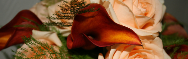 Blumen Heidi – Die Floristen-Werkstatt