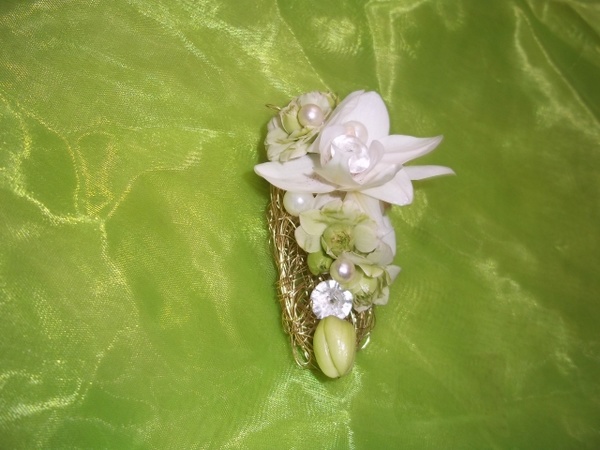Blatt & Blüte