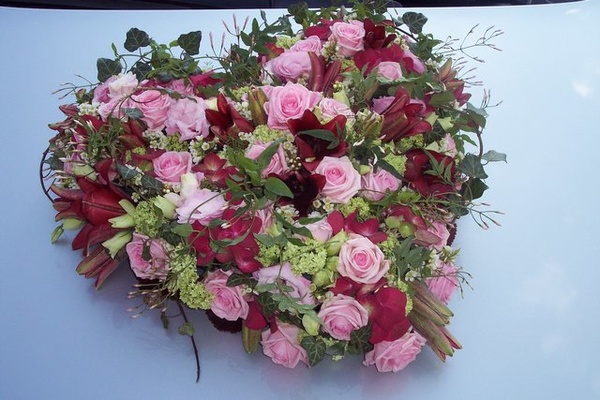 Blatt & Blüte