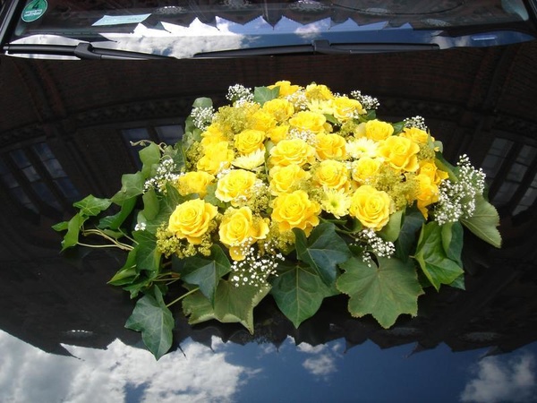 Blumenhaus D. Schulz