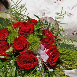 Blumenhaus D. Schulz