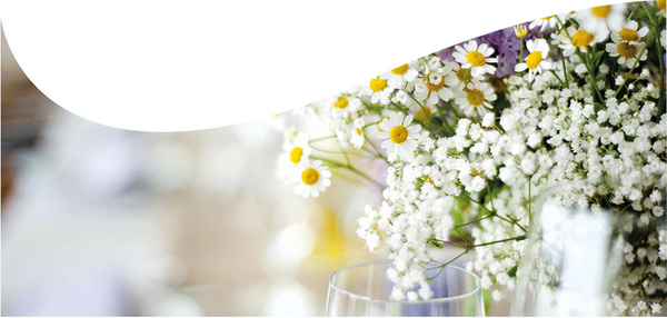 Margret Pleß Blumendekorationen