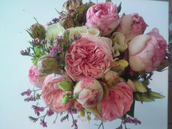 Mauerblümchen Blumenladen