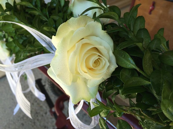 Blume & Beiwerk