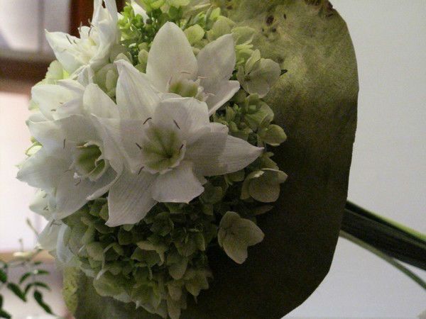 Blumen - Hahn