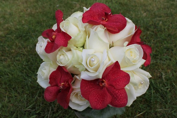 Blumen Galerie Oyten