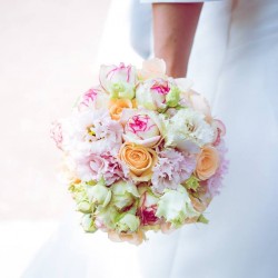 Blumen Galerie Oyten