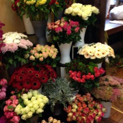 Blumenhaus Klein & Team