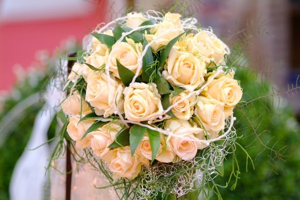 Gartencenter Wassenaar