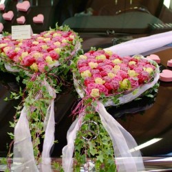 Gartencenter Wassenaar