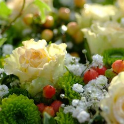 Gartencenter Wassenaar